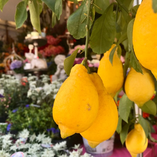 Marienplatz Market Munich