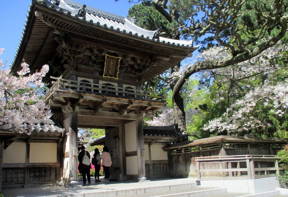 Japanese Tea Gardens, Golden Gate Park