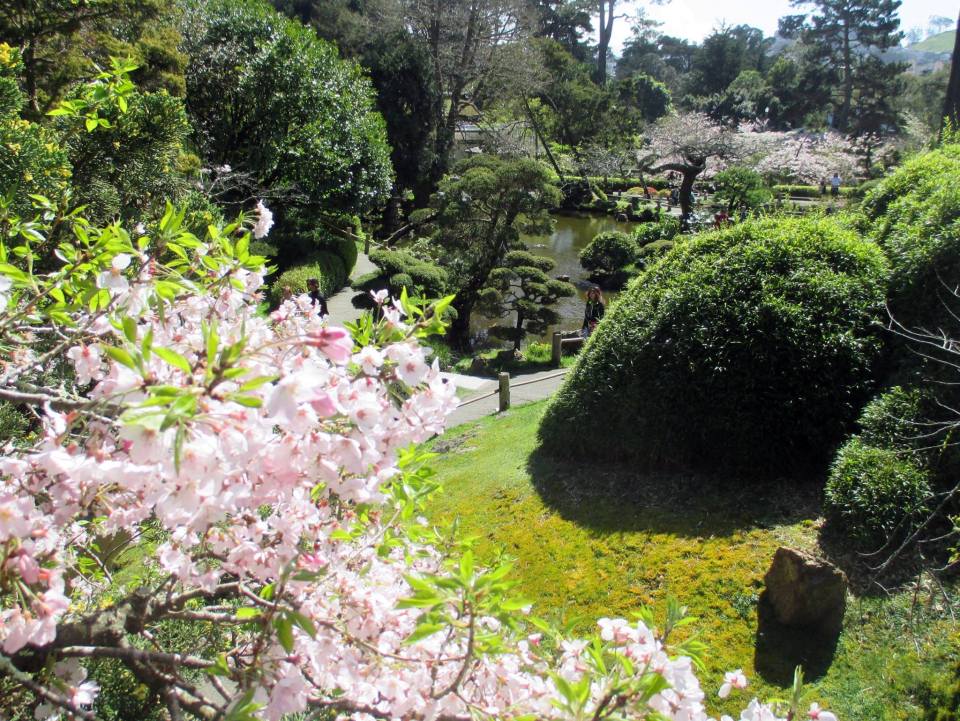 Japanese Tea Gardens, Golden Gate Park