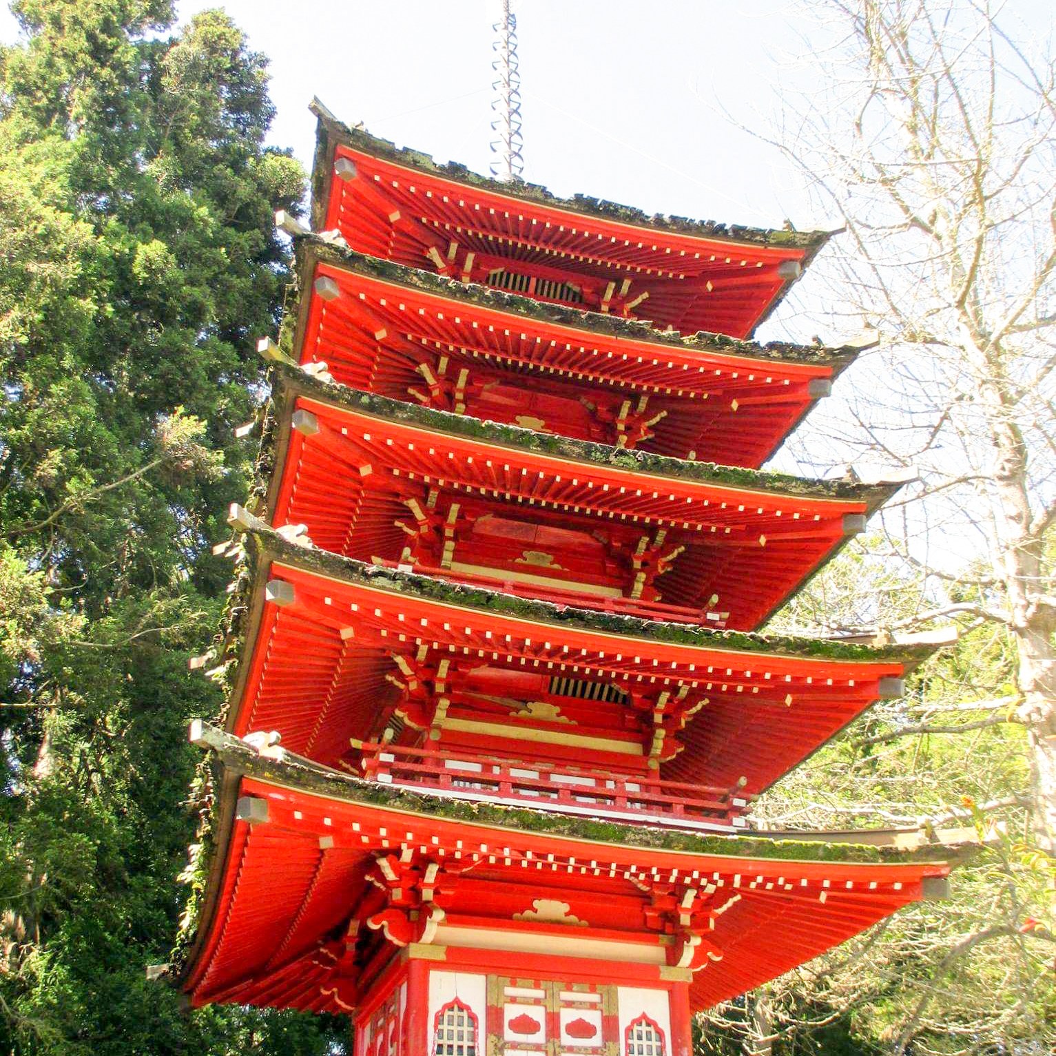 Japanese Tea Gardens San Francisco 